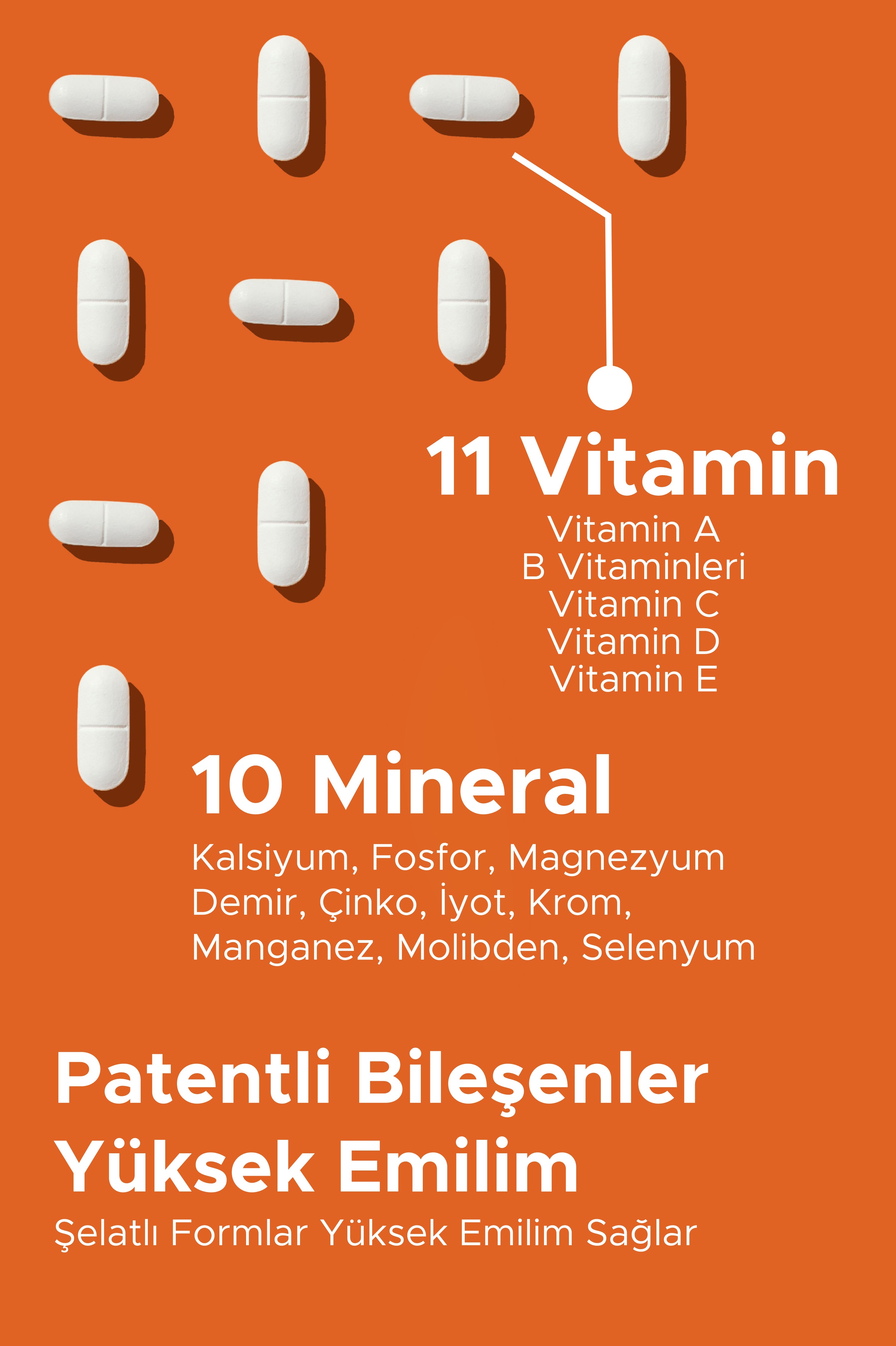 Tennen Nutrition Multivitamin Energy - Panax Ginseng, Koenzim Q10 Multivitamin Ve Mineraller